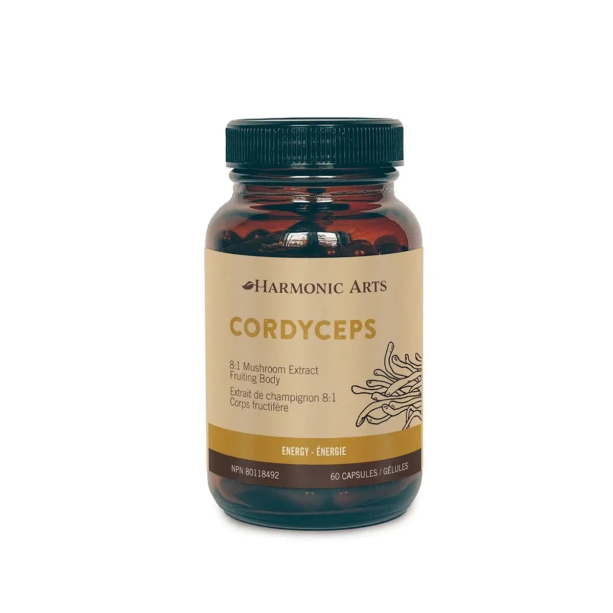 Harmonic Arts Cordyceps 8:1 Mushroom Extract  60 Capsules