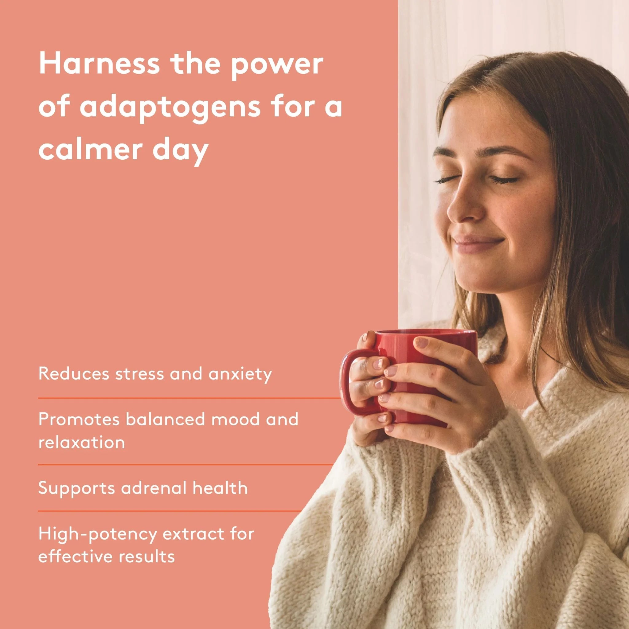 Heal + Co. Ashwagandha 500mg 120 Vegetarian Capsules