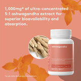 Heal + Co. Ashwagandha 500mg 120 Vegetarian Capsules