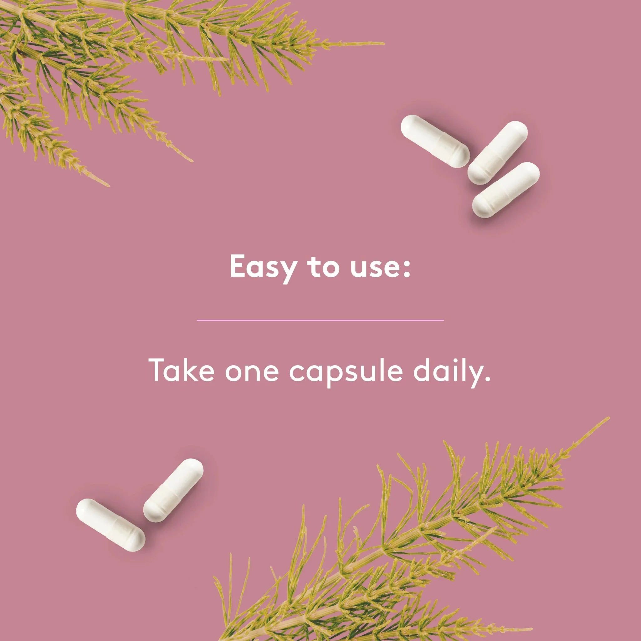 Heal + Co. Biotin Complex 120 Vegetarian Capsules