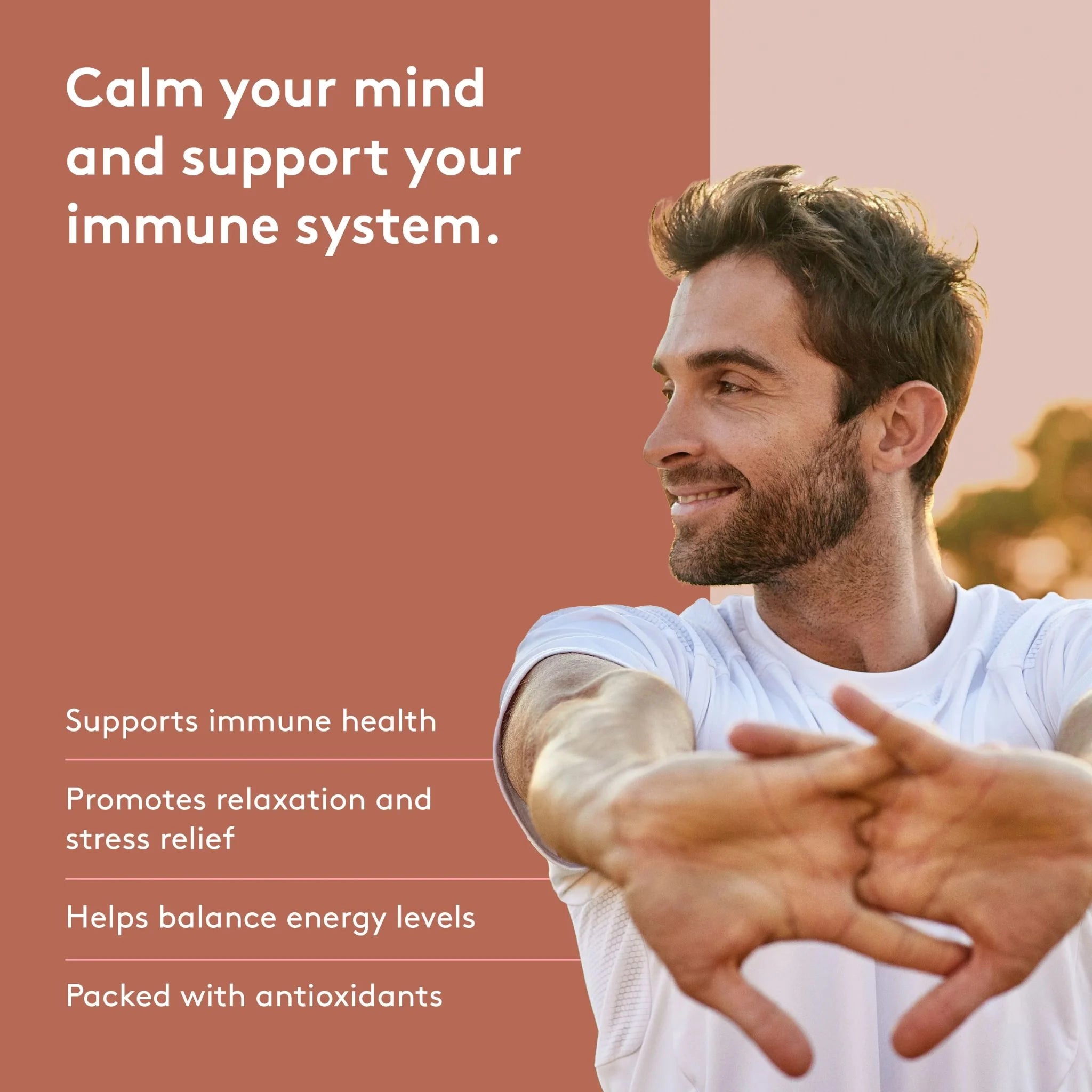 Heal + Co. Reishi 500mg 120 Vegetarian Capsules