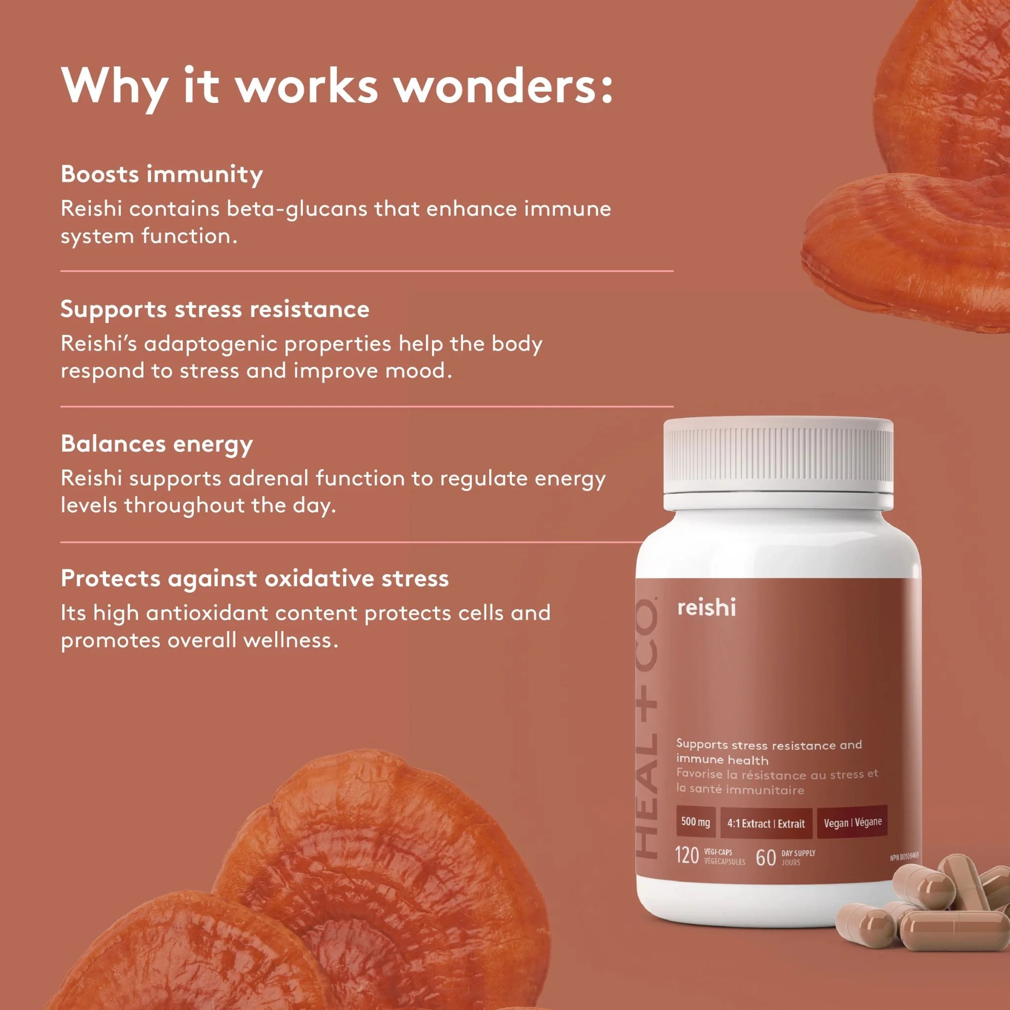 Heal + Co. Reishi 500mg 120 Vegetarian Capsules