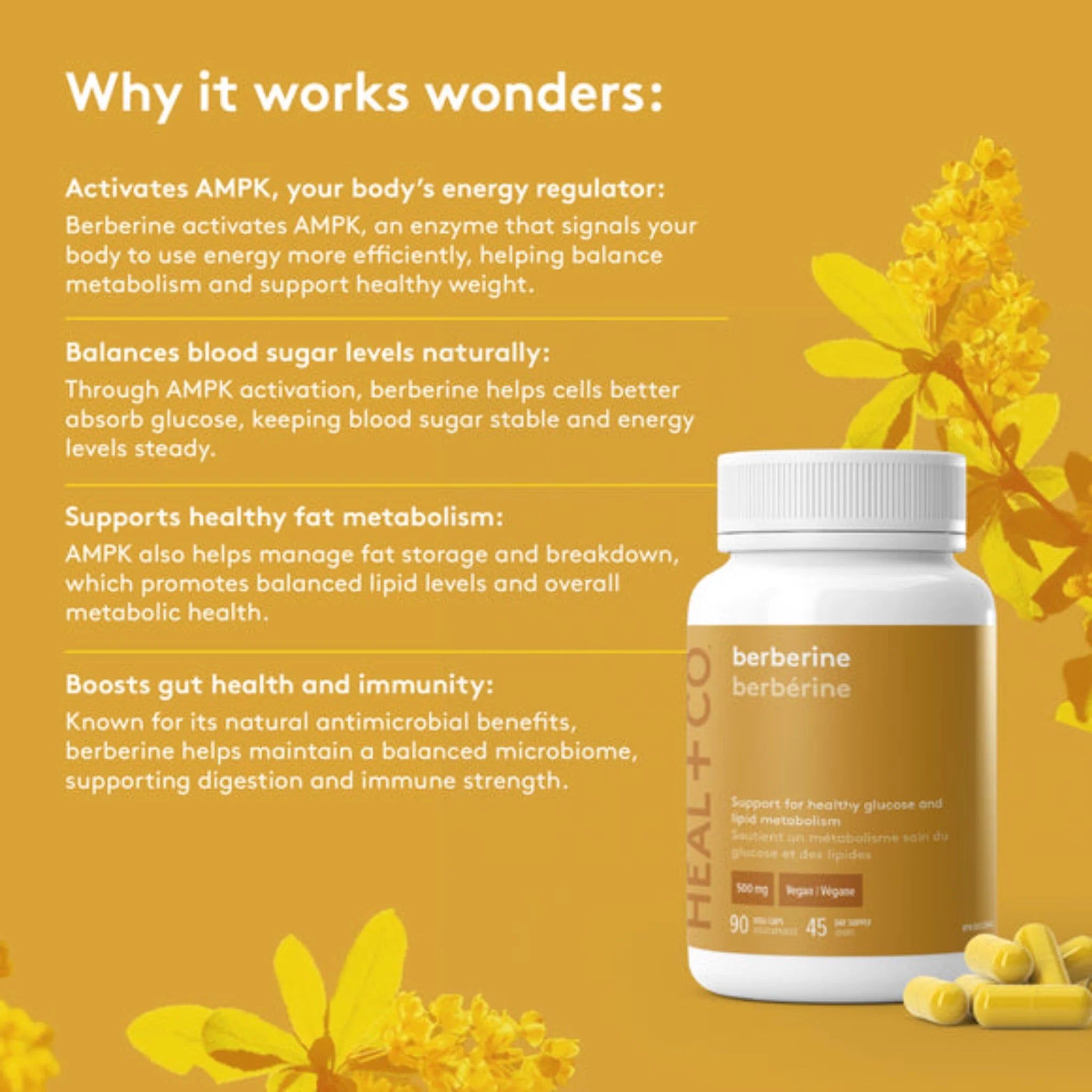 Heal + Co. Berberine 500mg 90 Vegetarian Capsules