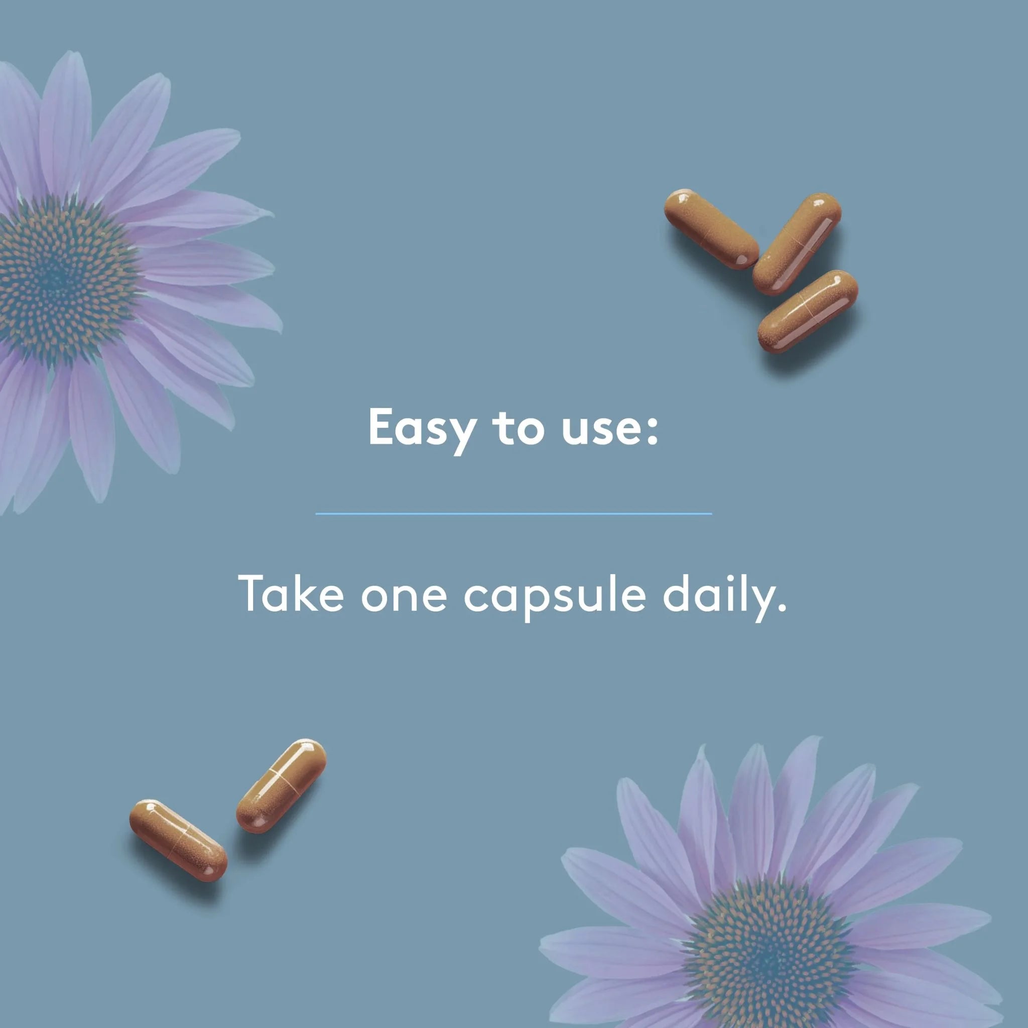 Heal + Co. Immunity Blend 500mg 120 Vegetarian Capsules