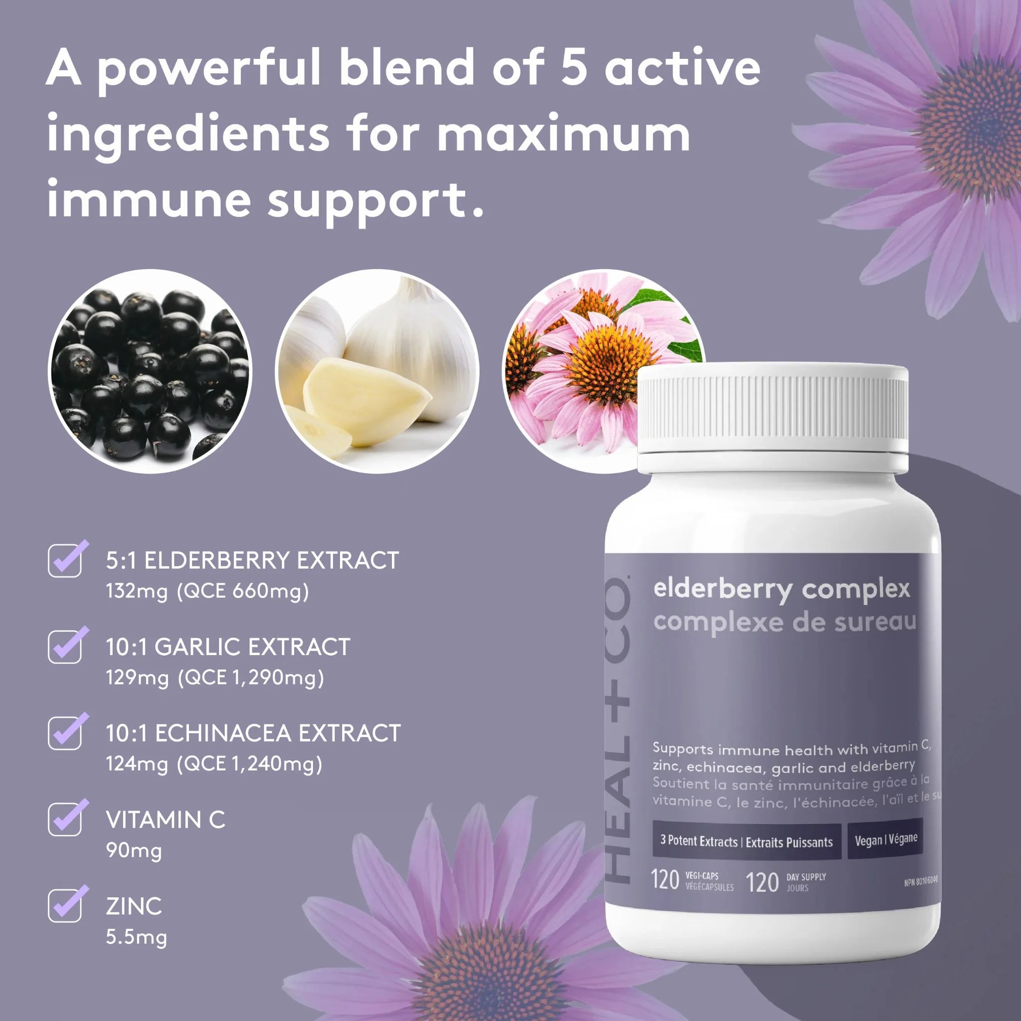 Heal + Co. Elderberry Complex 120 Vegetarian Capsules