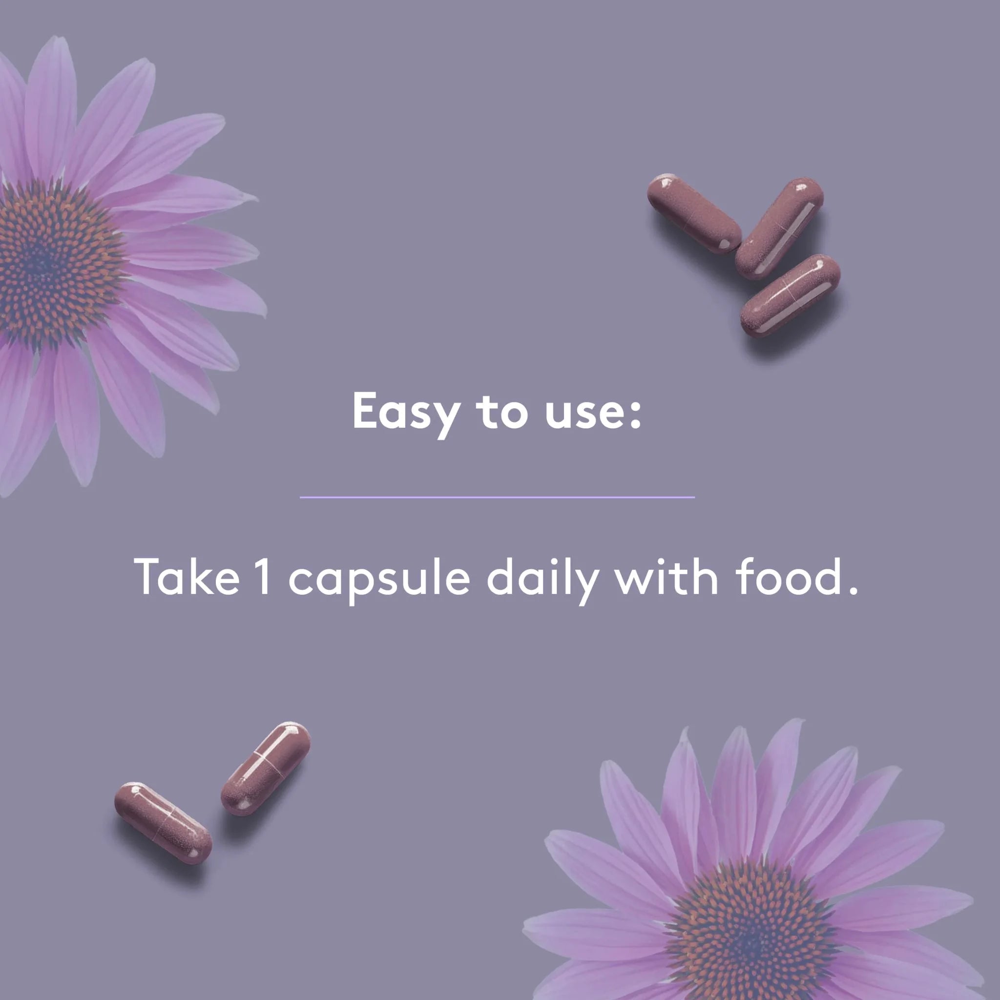 Heal + Co. Elderberry Complex 120 Vegetarian Capsules