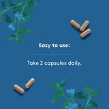 Heal + Co. Brain Complex 120 Vegetarian Capsules - Nature's Source Inc