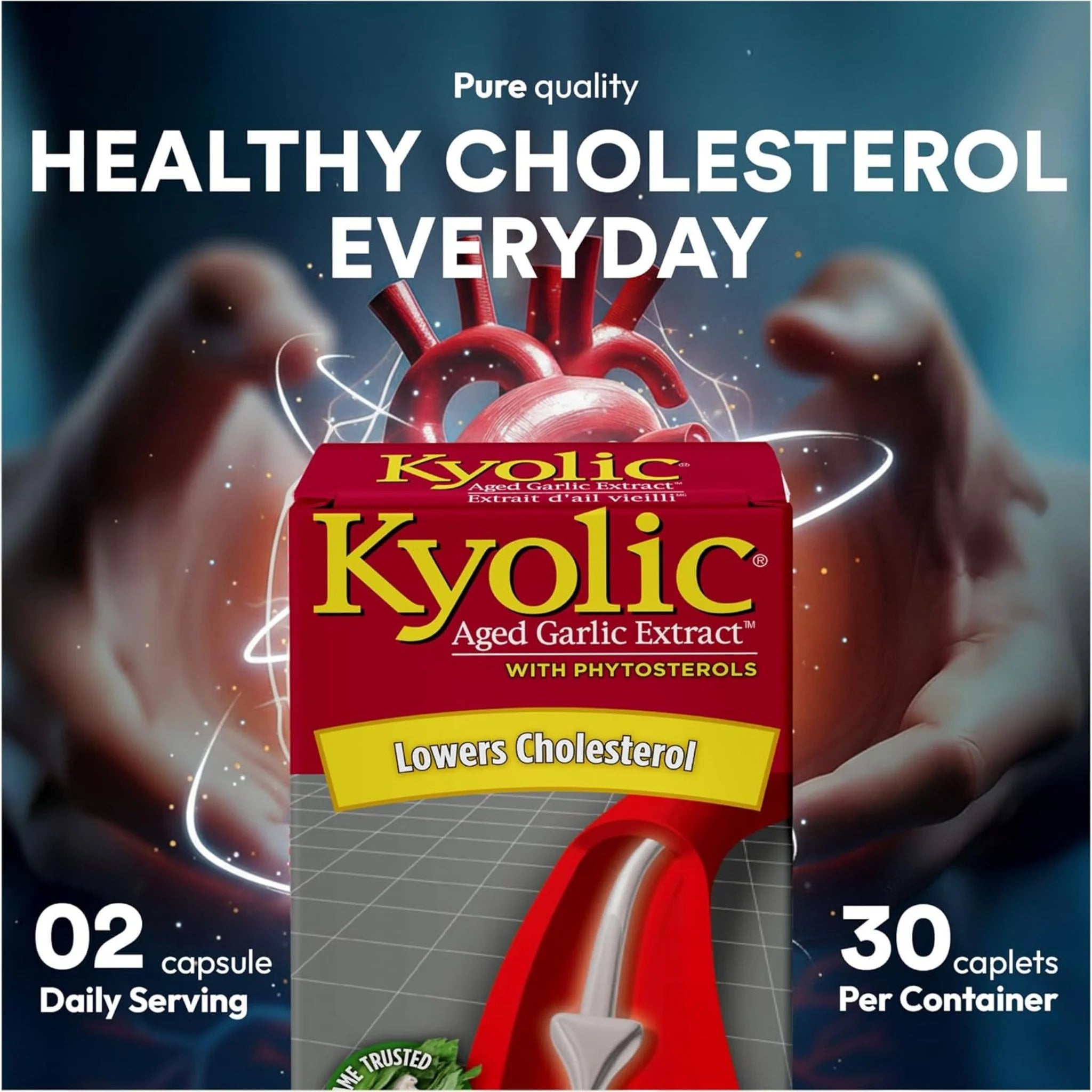 Kyolic Aged Garlic Extract with Phytosterols 30 Vegan Capsules