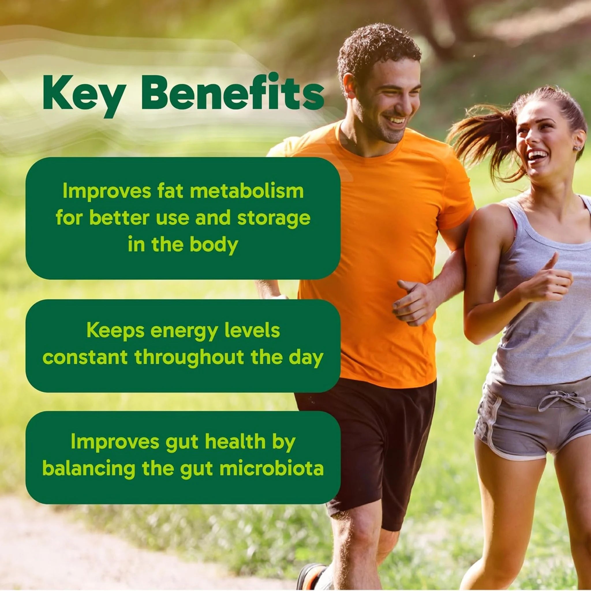 Organika Berberine 60 Vegetarian Capsules