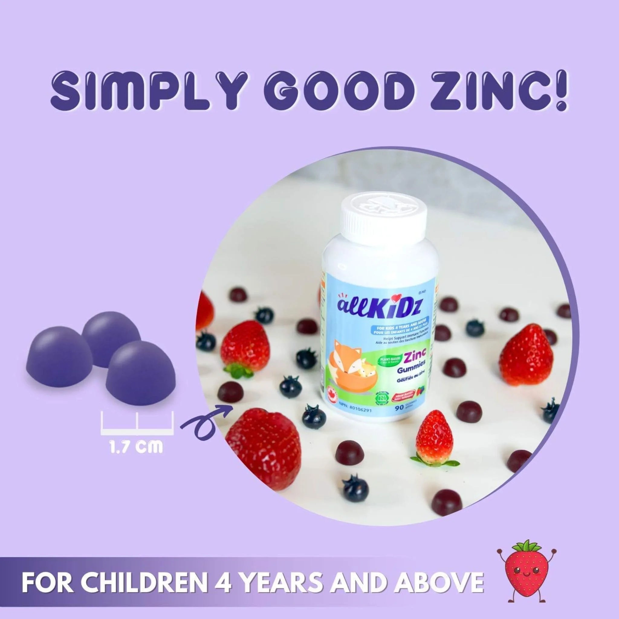 Allkidz Naturals Zinc 90 Gummies - Nature's Source Inc