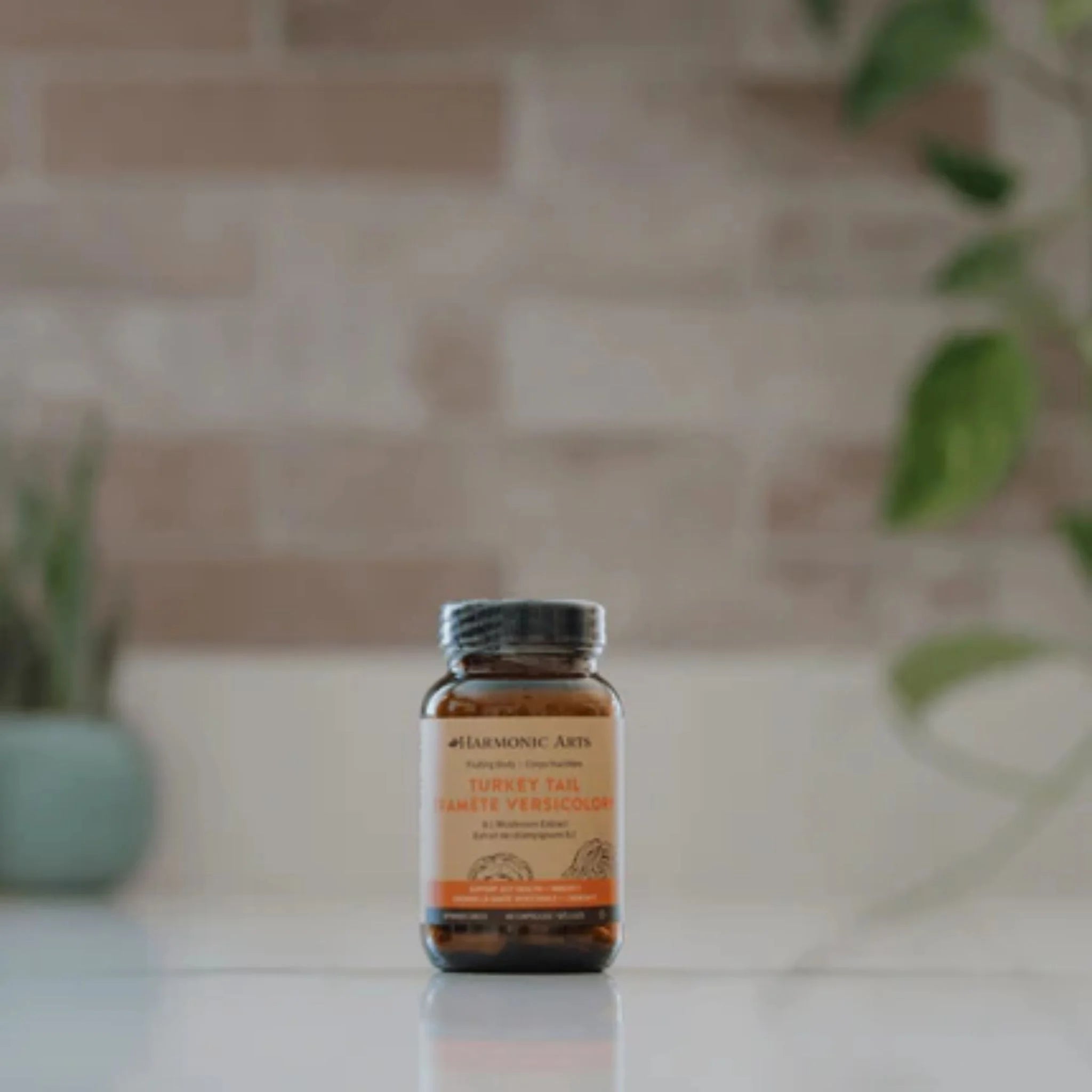 Harmonic Arts Turkey Tail 8:1 Mushroom Extract 60 Capsules - Nature's Source Inc