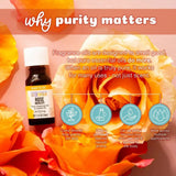 Aura Cacia Rose Absolute with Jojoba Oil 15ml