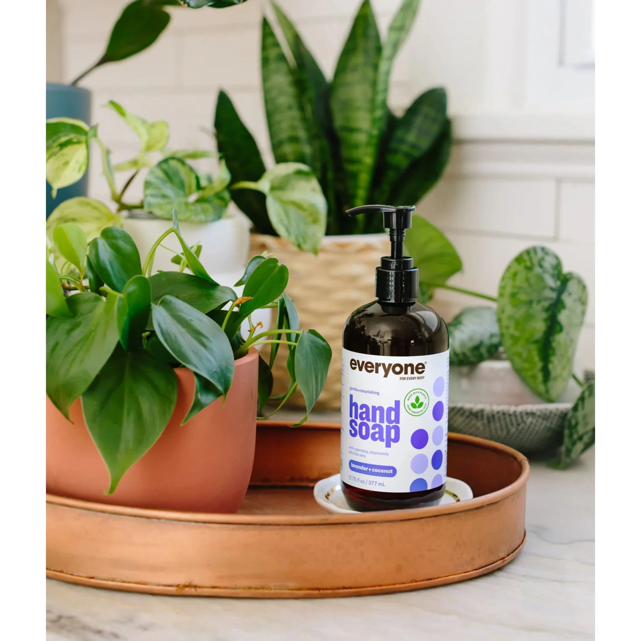 Everyone Hand Soap Lavender Coconut 377ml - Nature's Source Inc