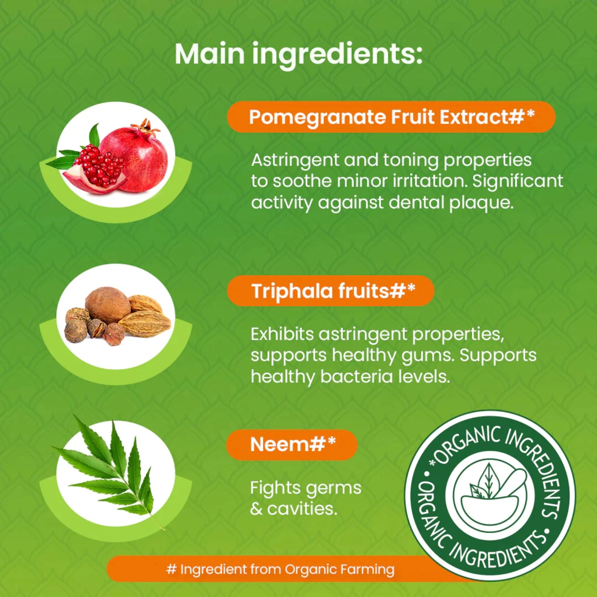 Himalaya Botnique Complete Care Toothpaste Neem & Pomegranate 150g