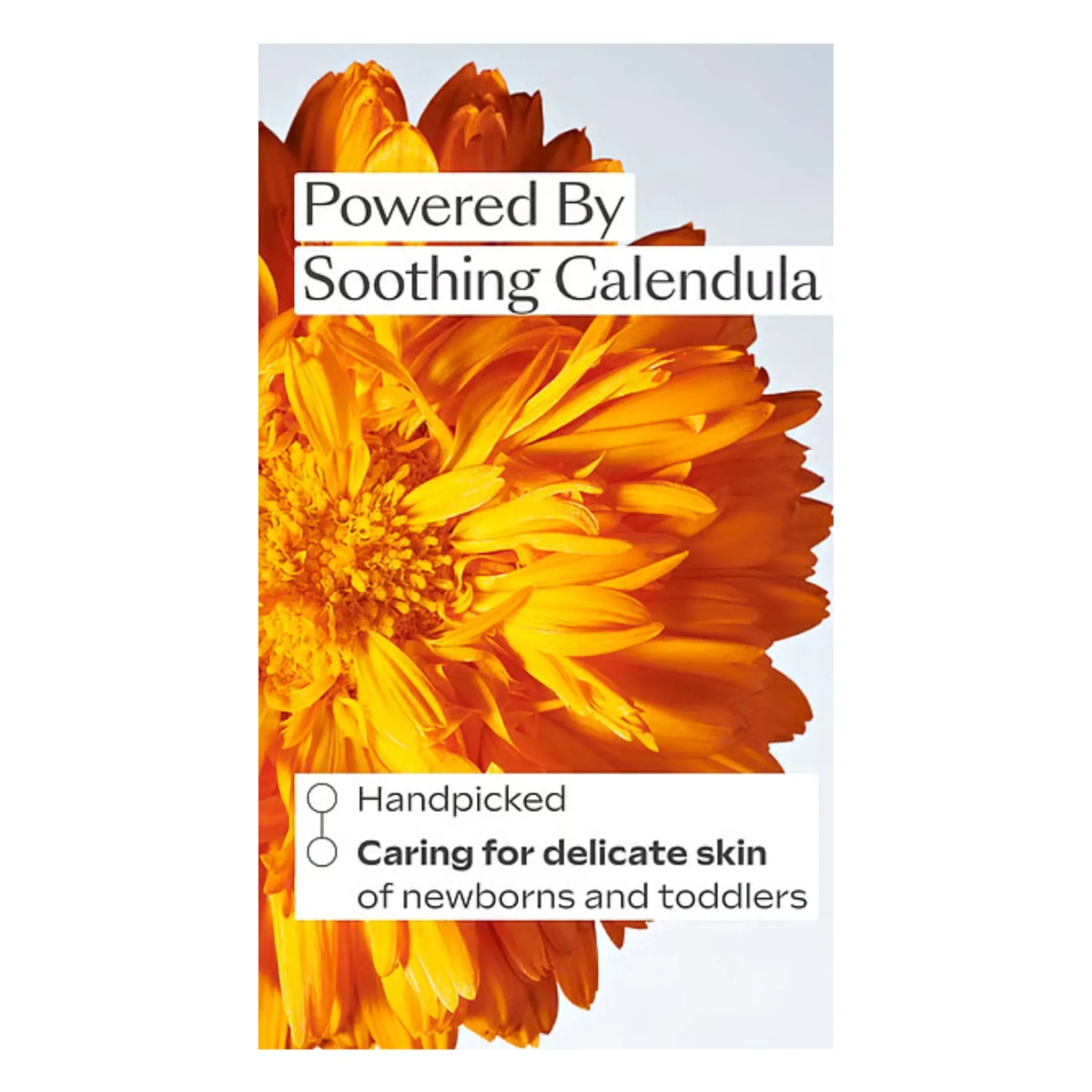Weleda Calendula Nourishing Baby Face Cream 50ml