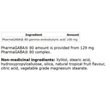 Natural Factors GABA Stress-Relax 100mg Tropical Fruit 60 Chewable Tablets - Nature's Source Inc