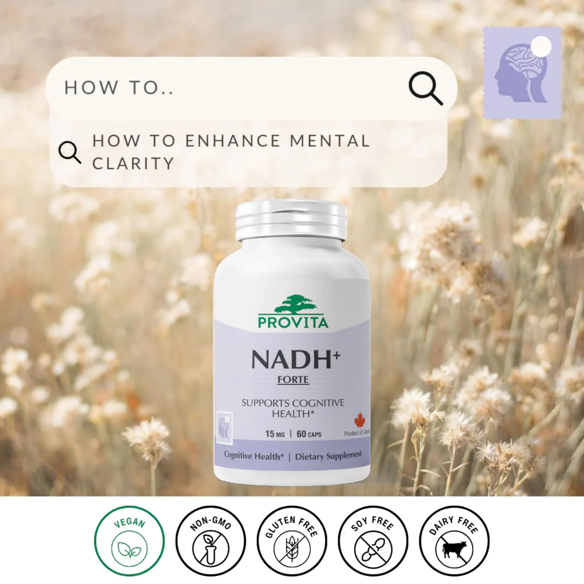 Provita NADH+ 60 Vegan Capsules - Nature's Source Inc