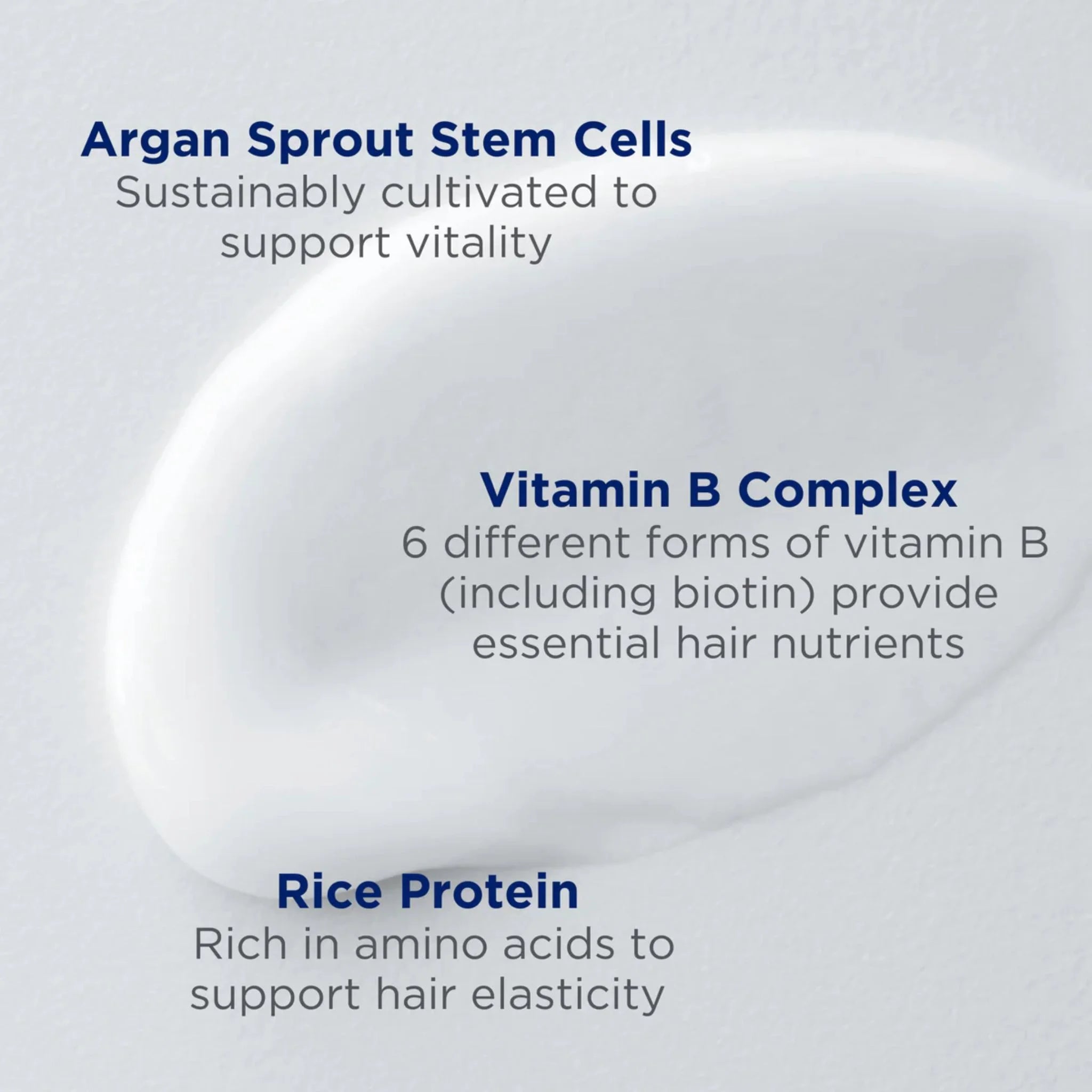 Andalou Naturals Argan Stem Cell Age Defying Conditioner - 340ml