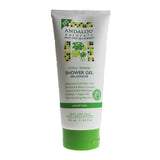 Andalou Citrus Verbena Shower Gel 251ml