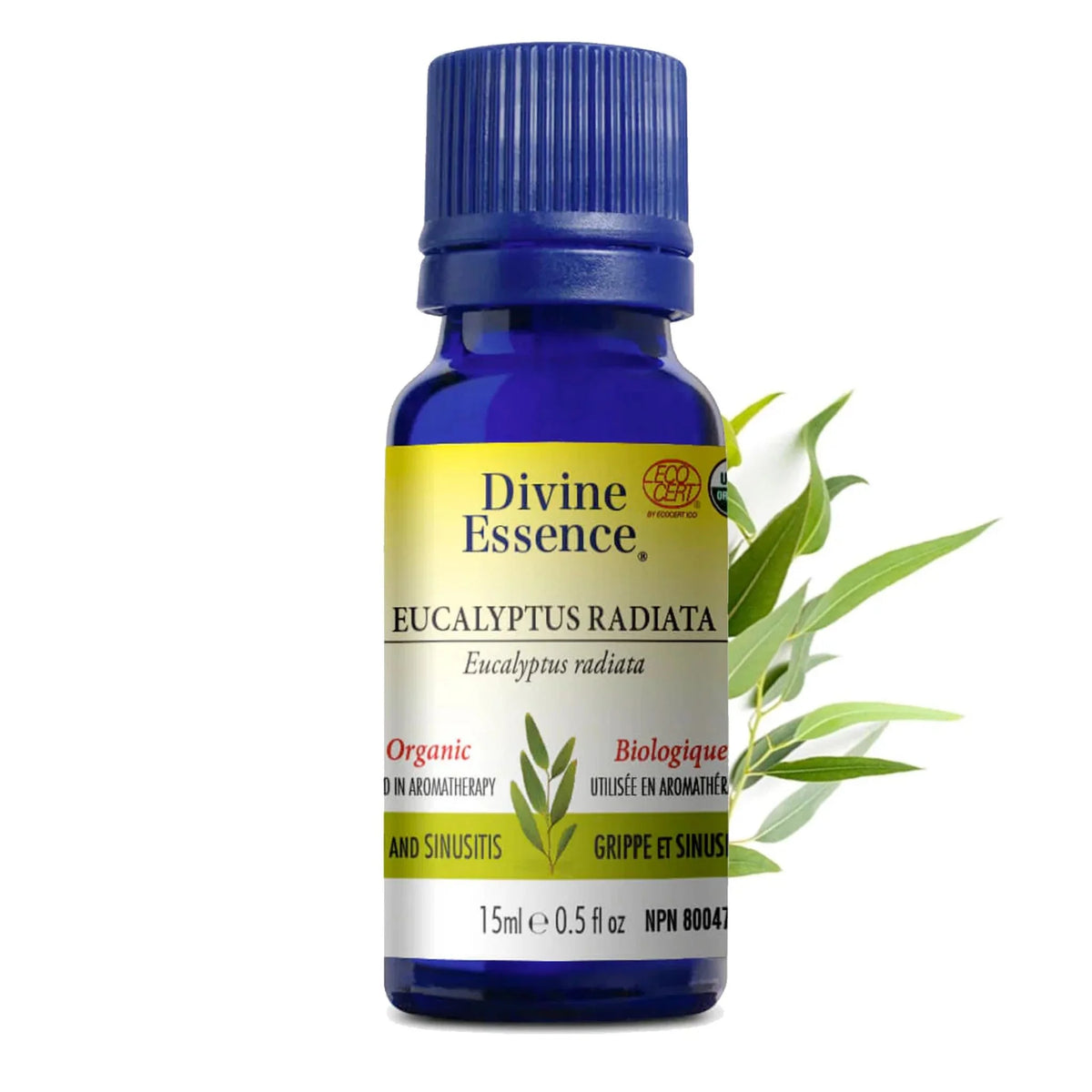 Divine Essence Organic Eucalyptus Radiata Essential Oil - 15ml