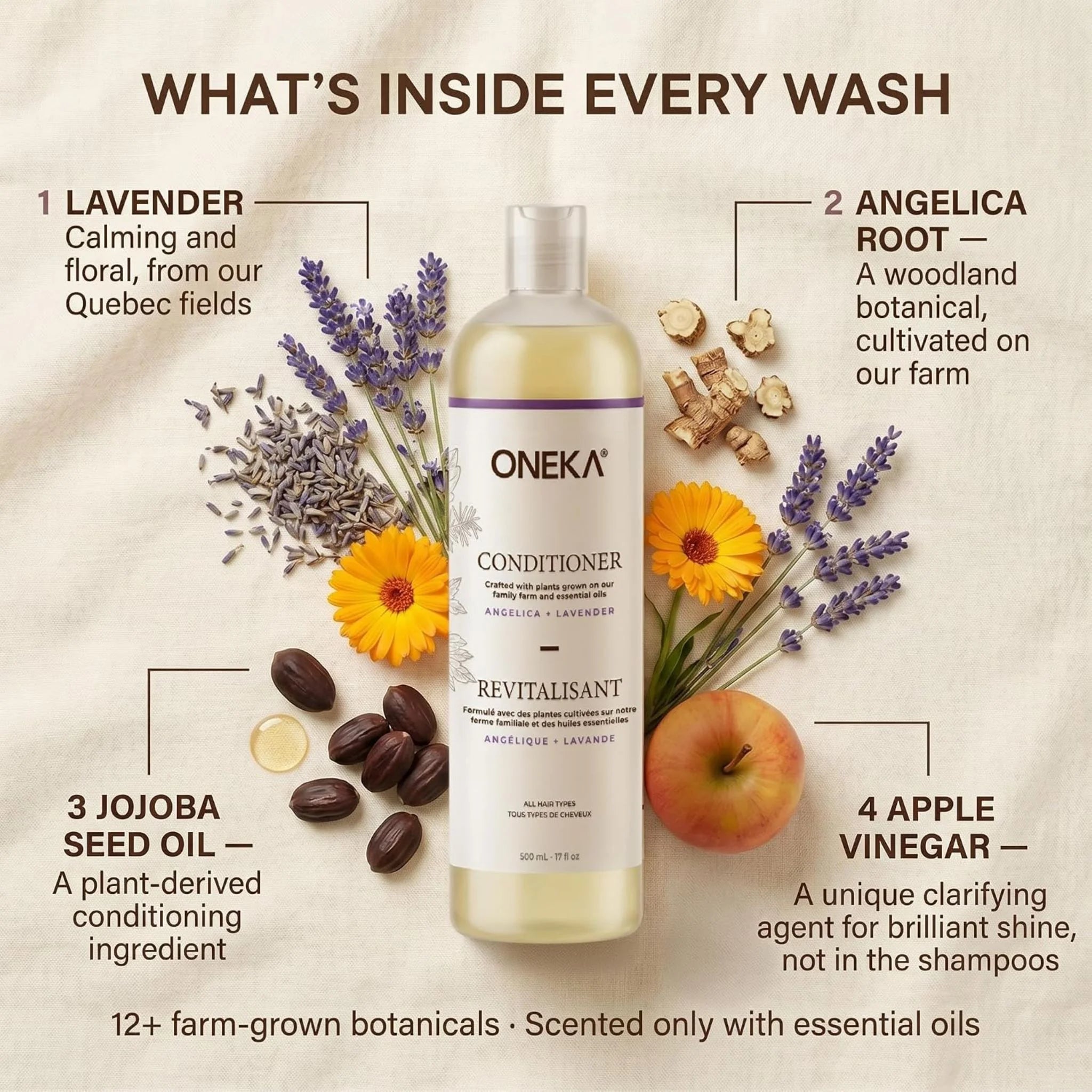 Oneka Angelica & Lavender Conditioner - 500ml