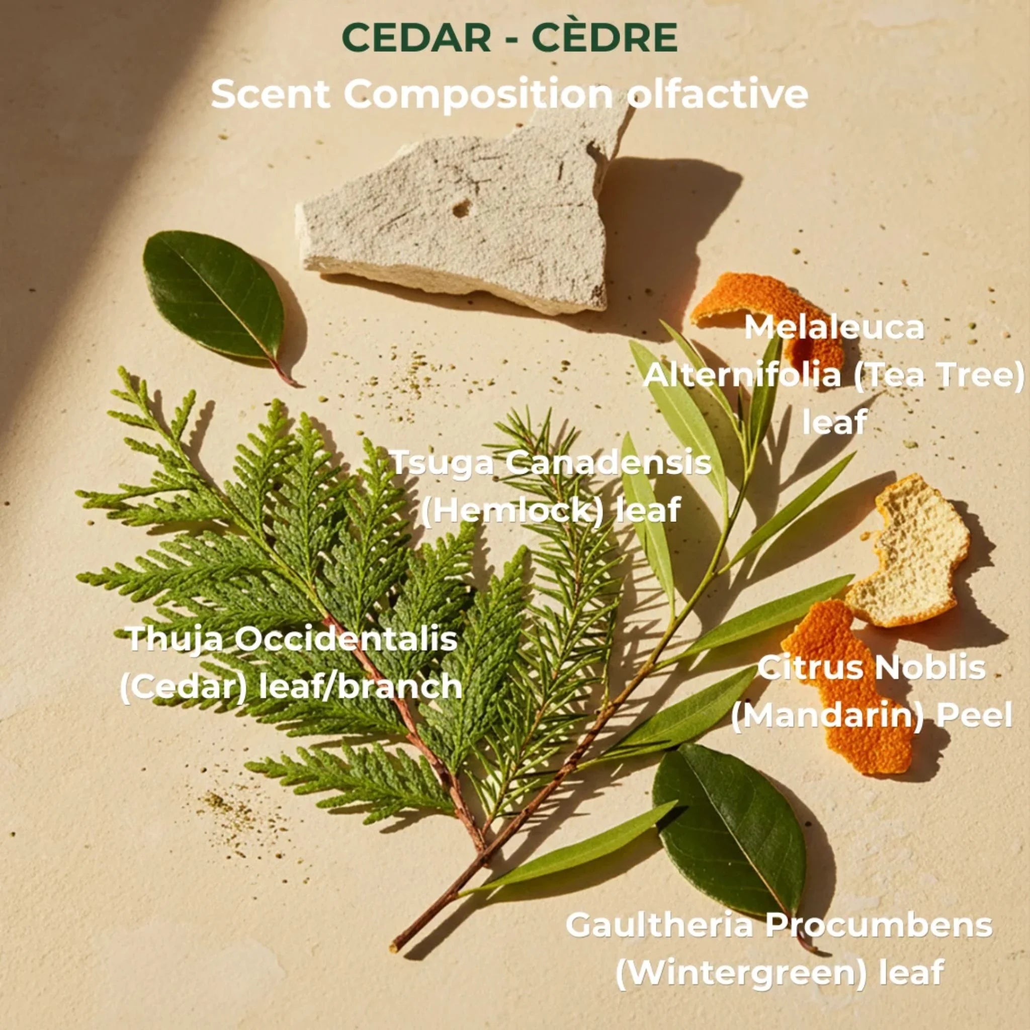 Oneka Shower Gel Cedar + Sage  500ml