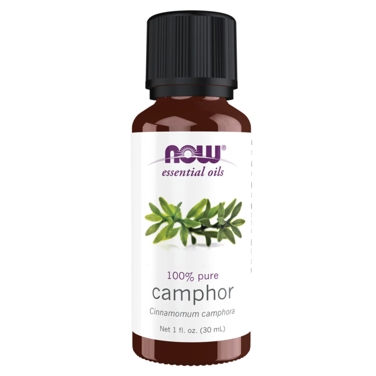 NOW Camphor Oil 30ml