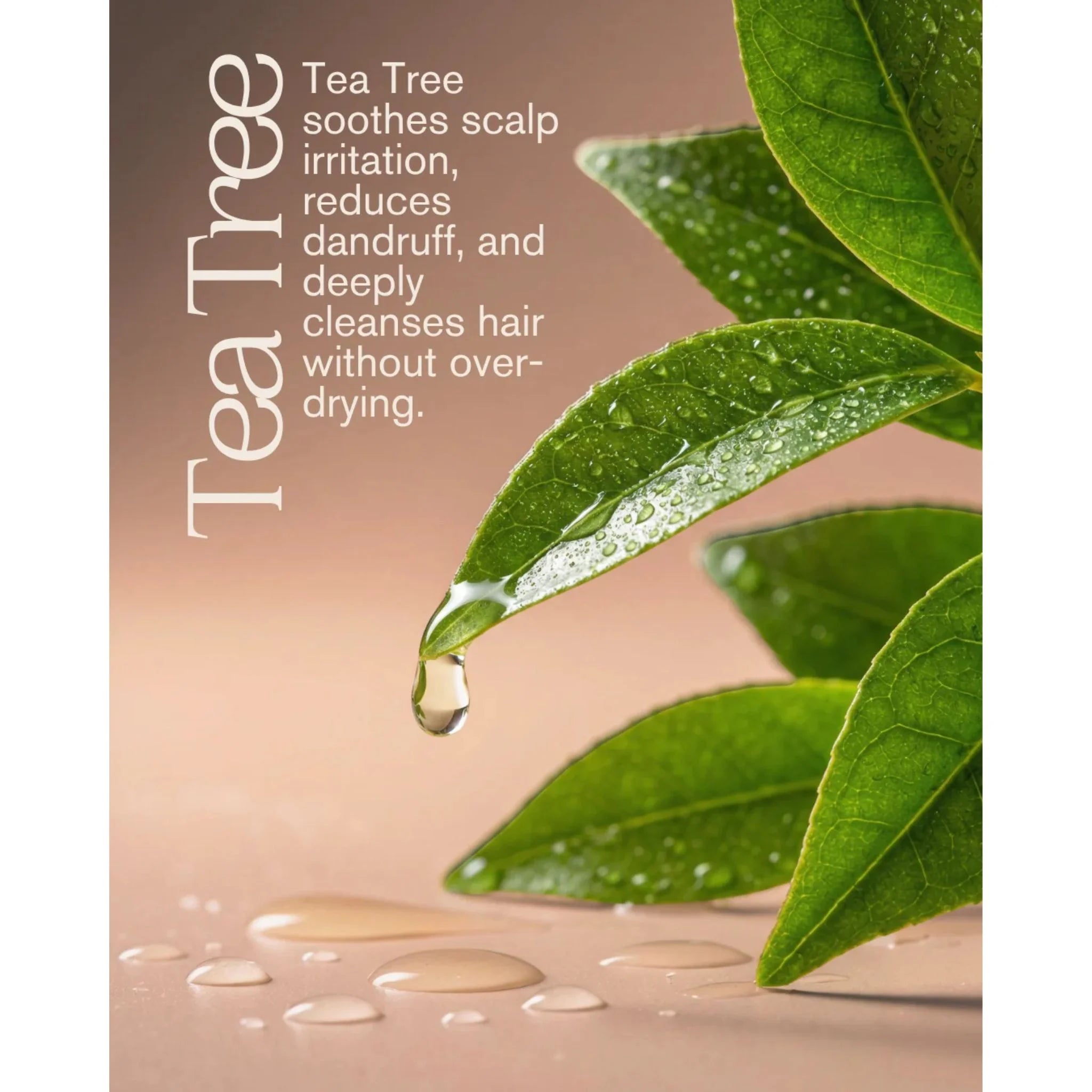 Mill Creek Tea Tree Conditioner 414ml