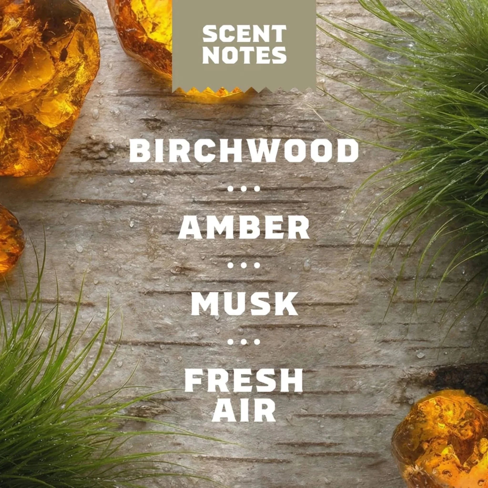 Dr. Squatch Soap Birchwood Breeze 141.7g