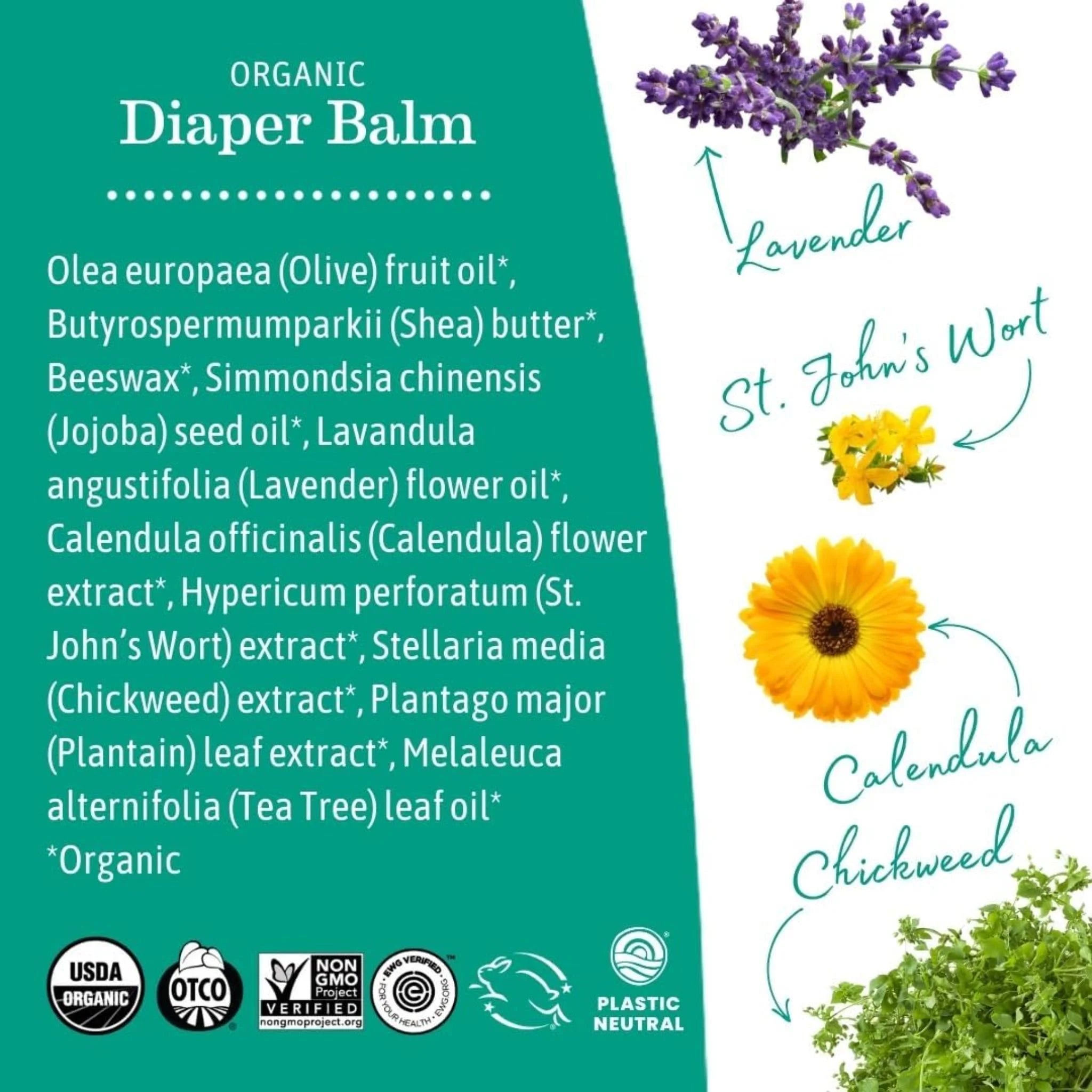 Earth Mama Organic Diaper Balm 120ml - Nature's Source Inc