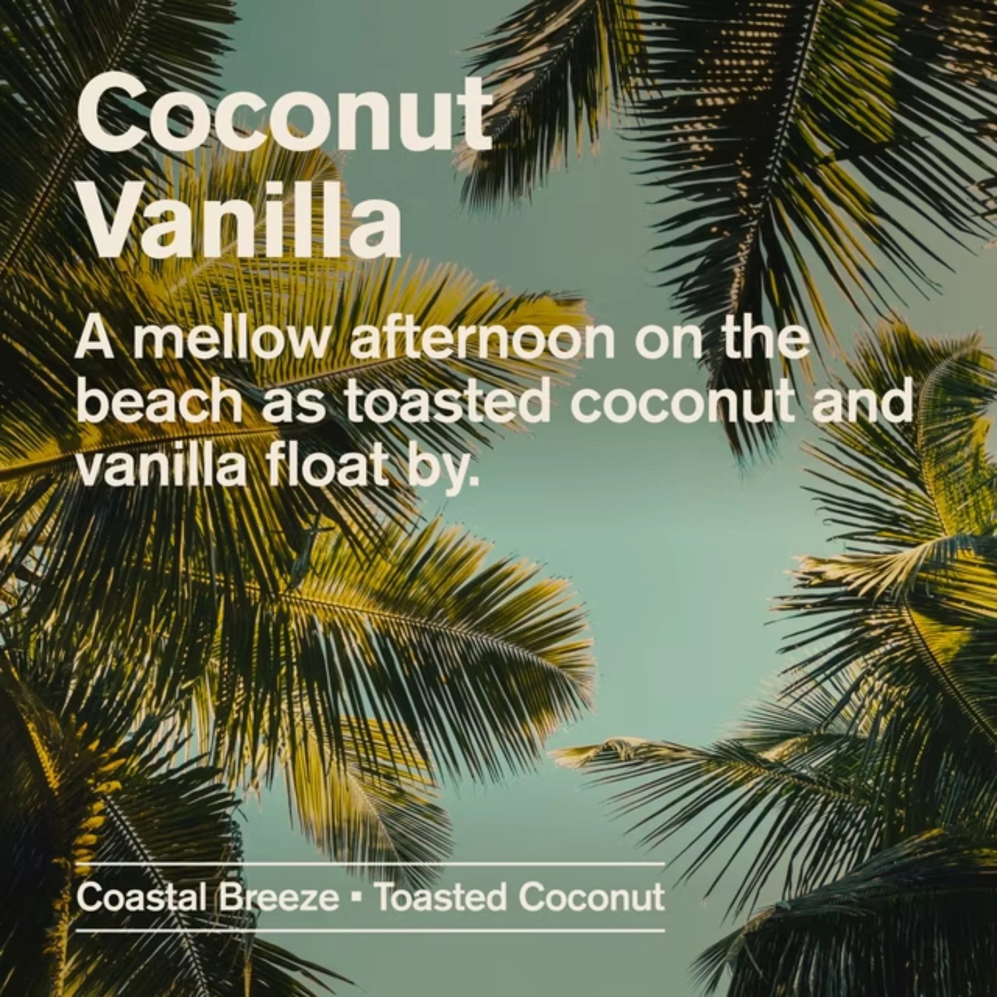 Every Man Jack Coconut and Vanilla Deodorant 85g