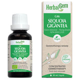 HerbalGem G46 Sequoia gigantea 30ml - Nature's Source Inc