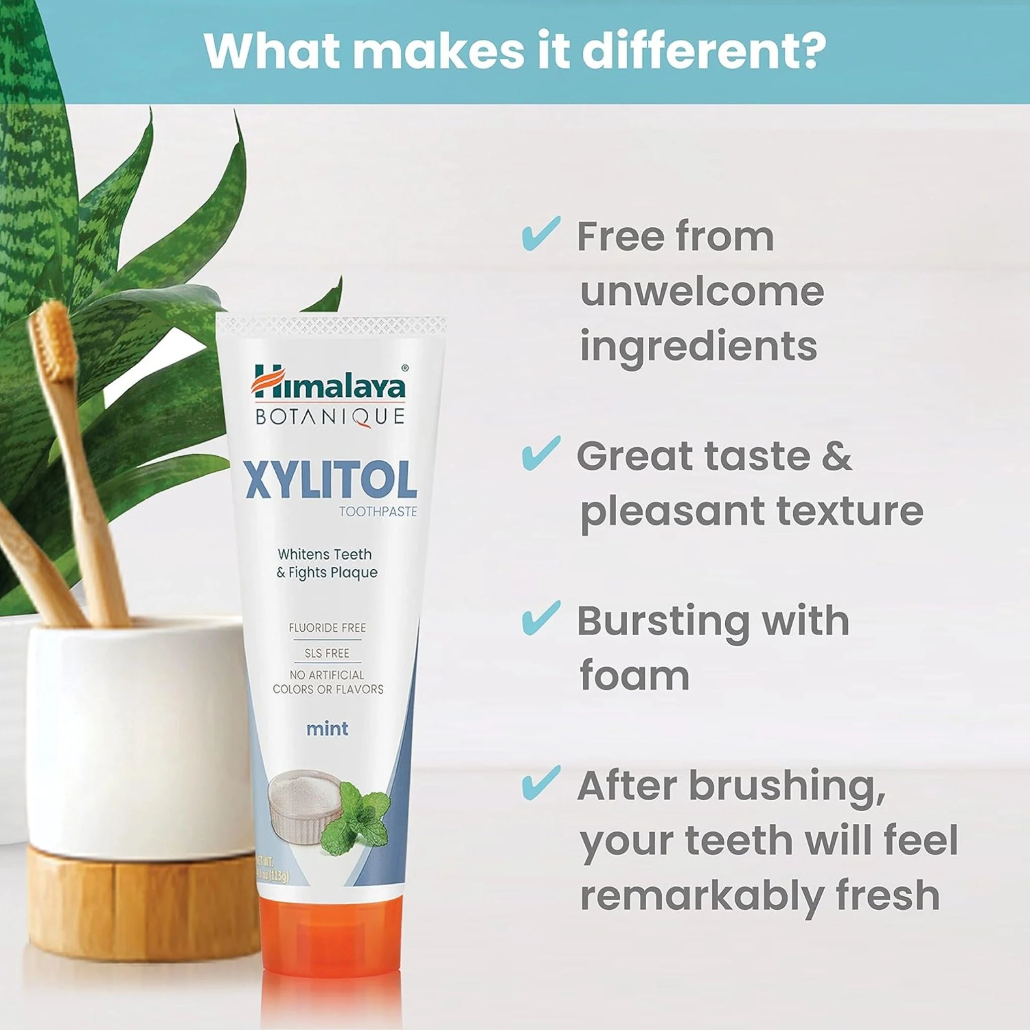Himalaya Xylitol Mint 113g