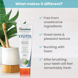 Himalaya Xylitol Mint 113g
