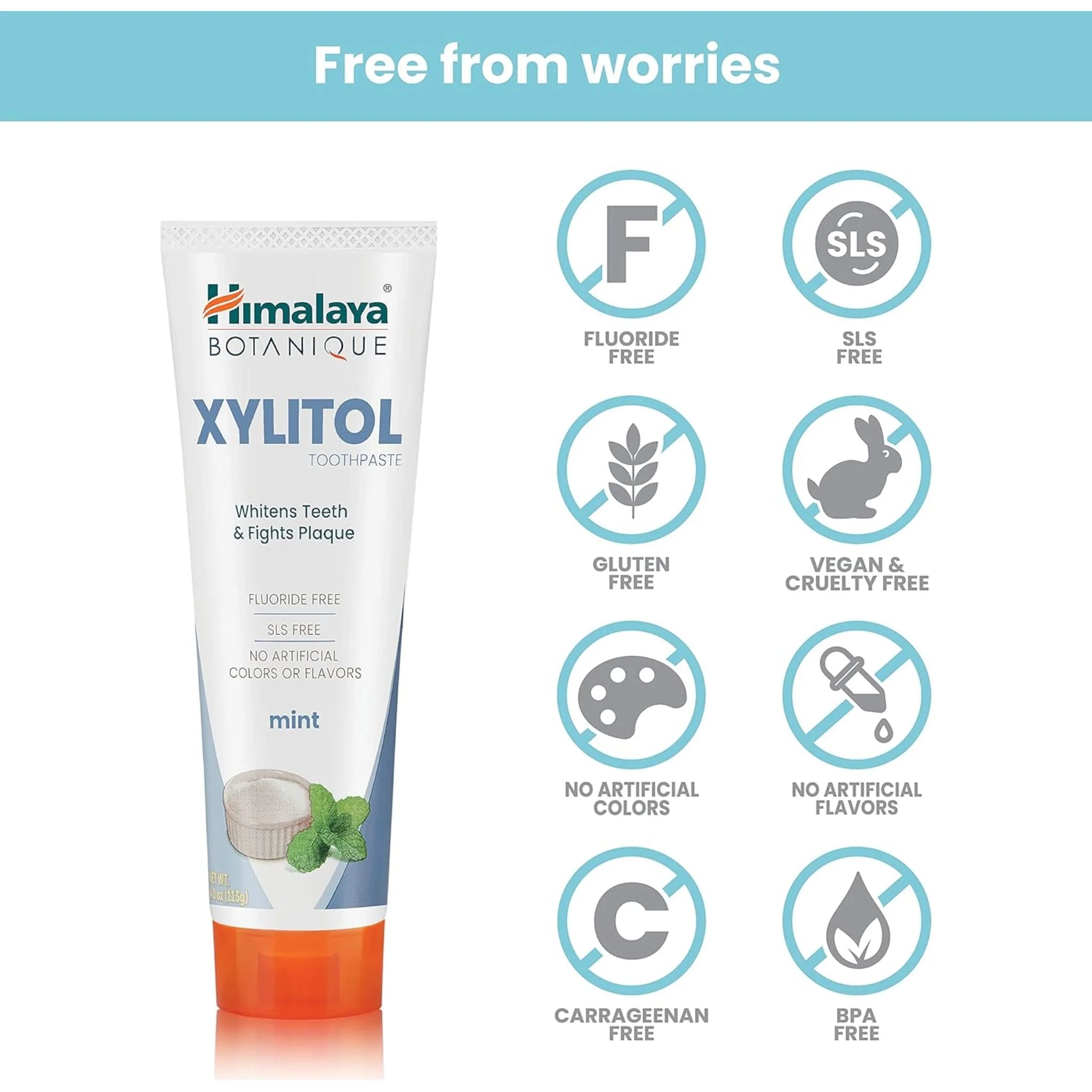 Himalaya Xylitol Mint 113g