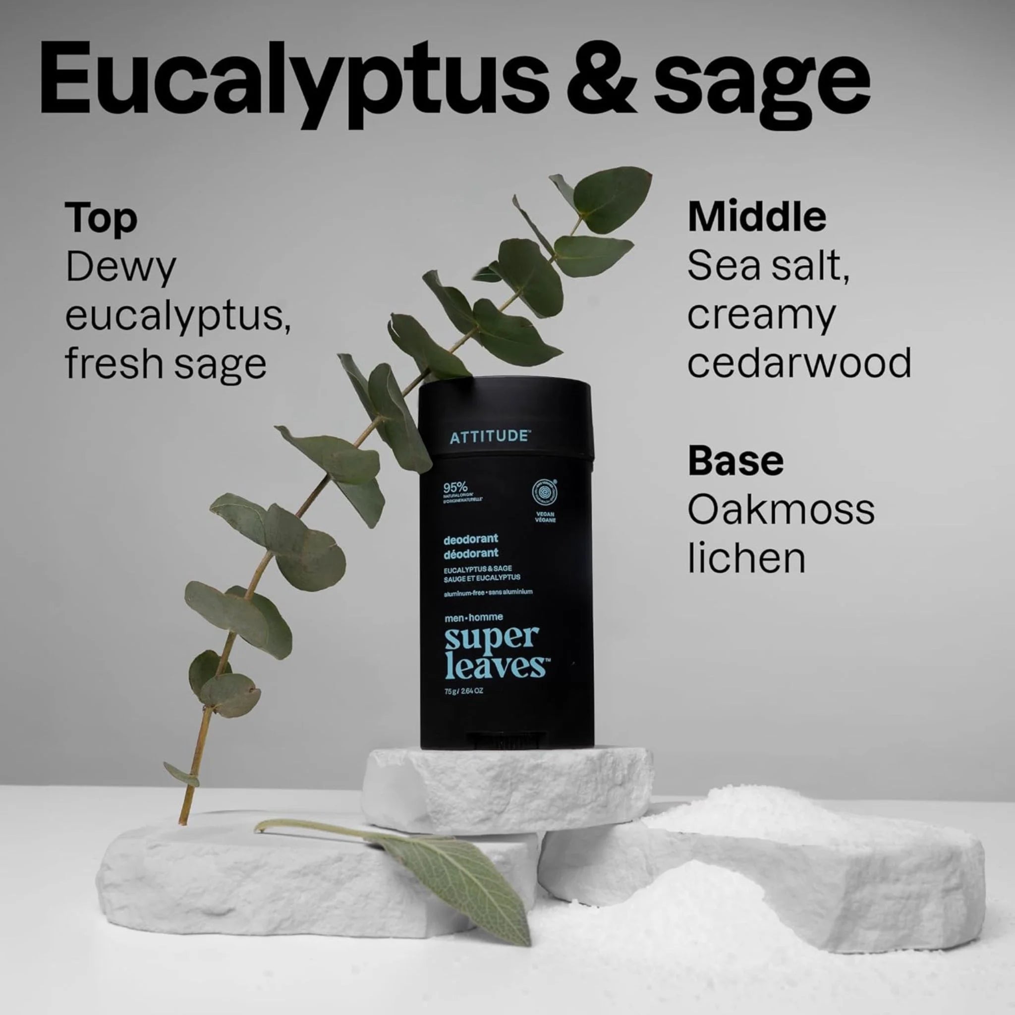Attitude Men's Deodorant Eucalyptus & Sage 75g