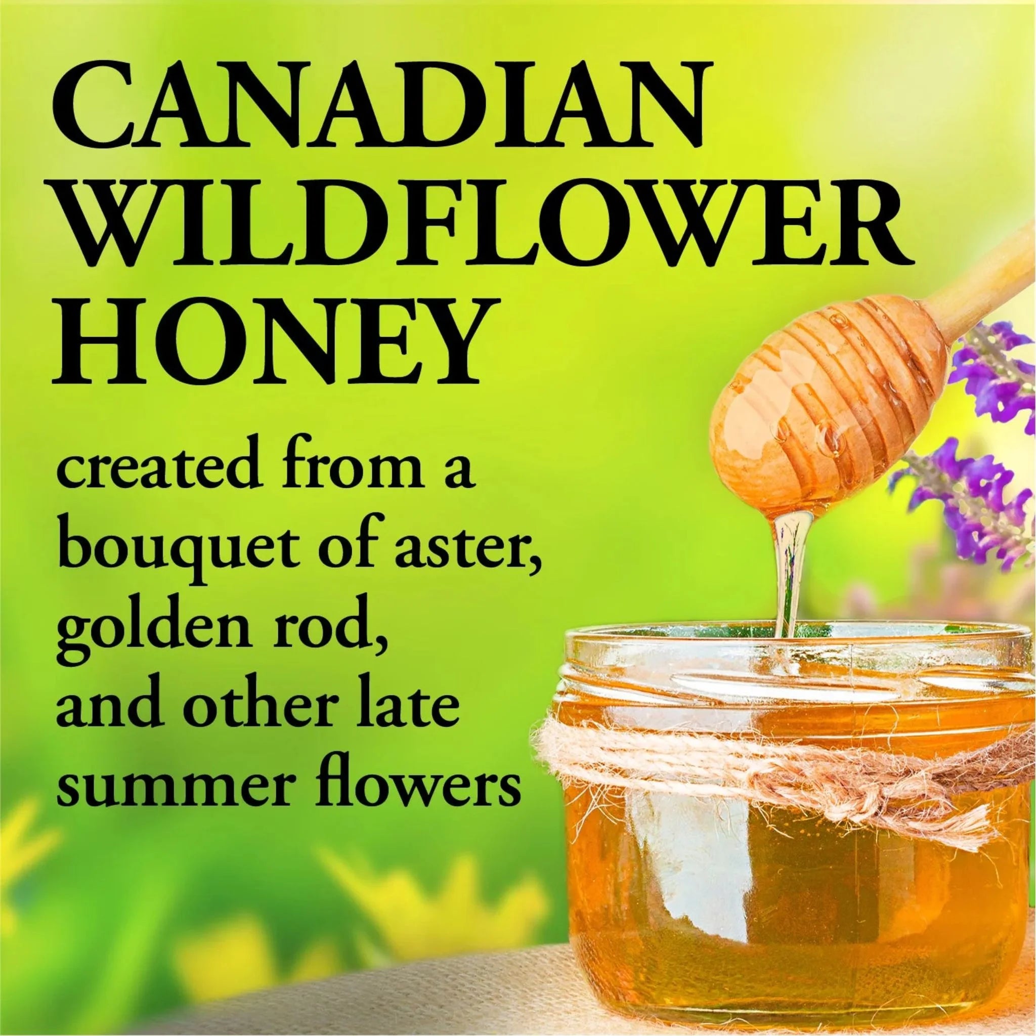 Dutchman's Gold Wildflower Jar 1kg