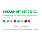 PUR Spearmint Gum Bag 55pc - Nature's Source Inc