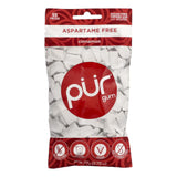PUR Cinnamon Gum Bag 55pc - Nature's Source Inc