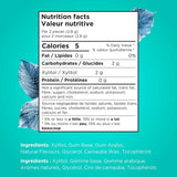 PUR Wintergreen Gum Bag 55pc