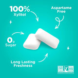 PUR Wintergreen Gum Bag 55pc