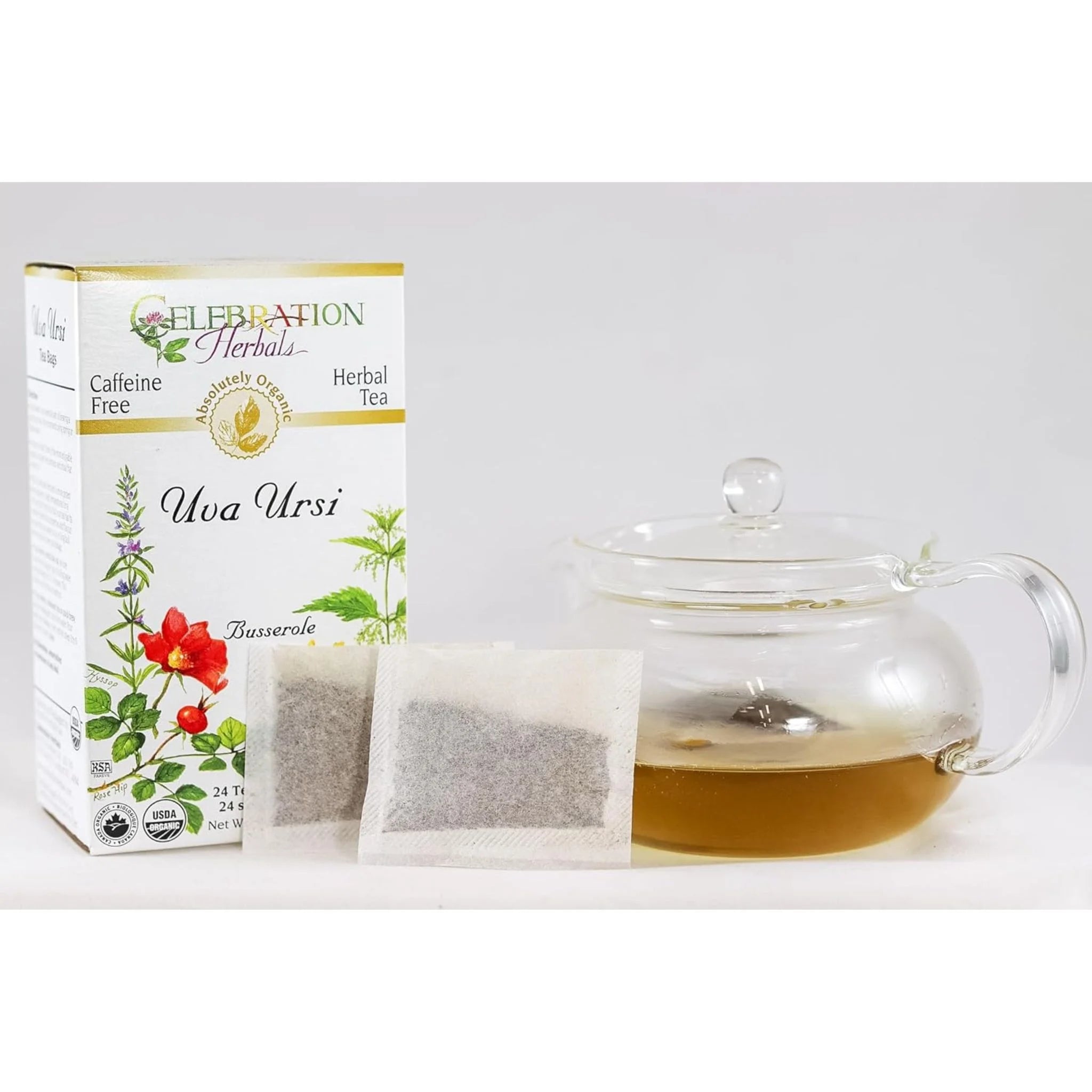 Celebration Herbals Organic Uva Ursi Tea 24 bags