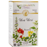 Celebration Herbals Organic Uva Ursi Tea 24 bags