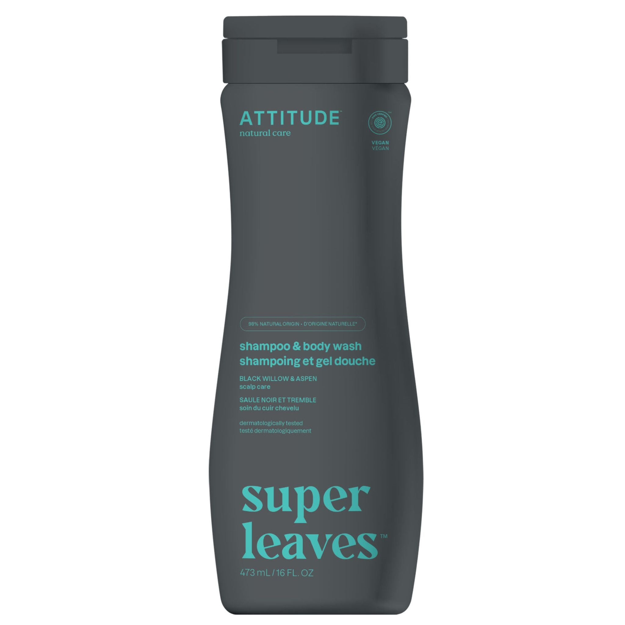 Attitude 2 - in - 1 Scalp Care Shampoo & Body Wash for Men 473ml - Nature's Source Inc