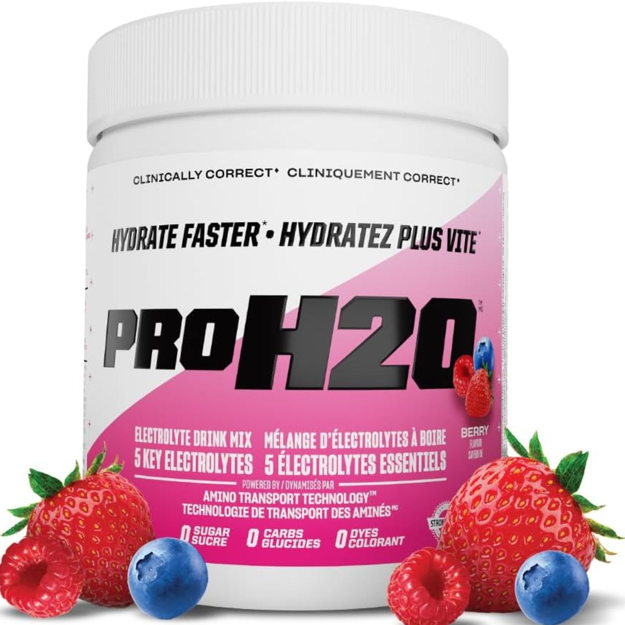 PVL ProH20 Electrolyte Drink Mix, Berry, 255g - Nature's Source Inc