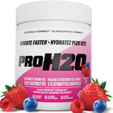 PVL ProH20 Electrolyte Drink Mix, Berry, 255g - Nature's Source Inc