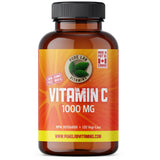 PURE LAB Vitamin C 1000mg 120 Vegan Capsules - Helps in Wound Healing Connective Tissue Formation, Supports Bone Development, A Rich Antioxidant - Nature's Source Inc