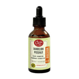 Clef Des Champs Dandelion 50ml - Acts on Digestive & Urinary Tract, Eliminate Toxins, Uric Acid & Cholesterol, Reduces Inflammation and Deposits - Nature's Source Inc