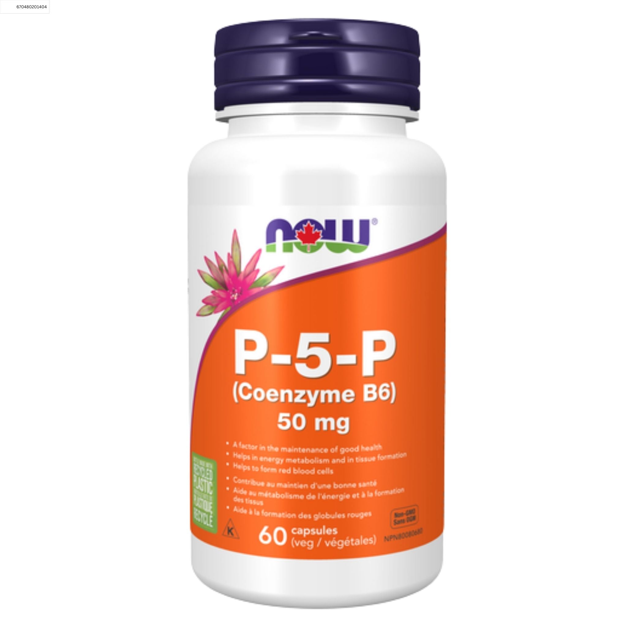 NOW P - 5 - P 50mg 60 Vegetable Capsules - Nature's Source Inc