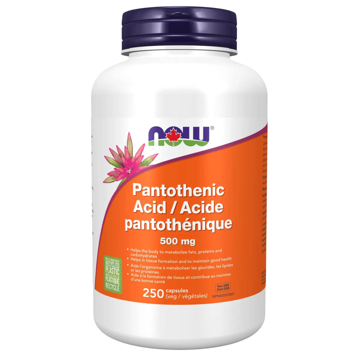 NOW Pantothenic Acid 500mg 250 Vegetable Capsules - Nature's Source Inc